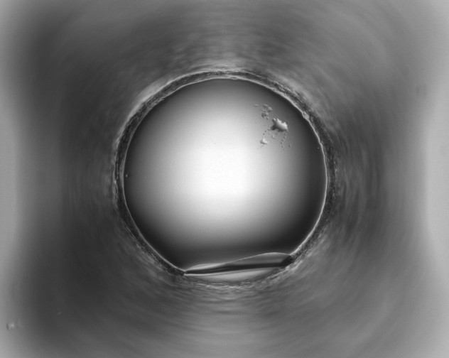 X0000093441168200710261034