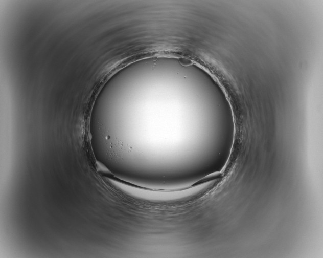 X0000093441169200710261034