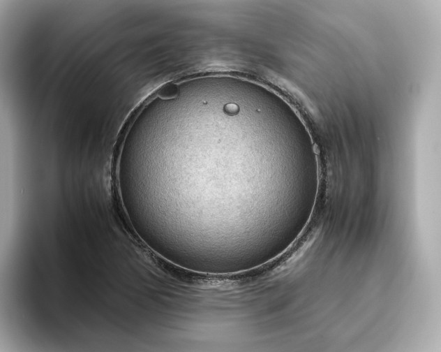X0000093441170200710261034