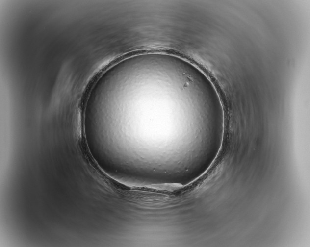 X0000093441171200710261034