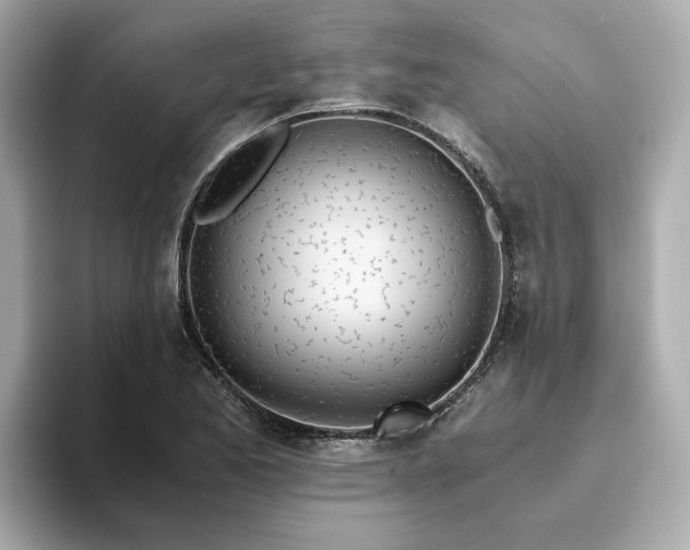 X0000093441173200710261034