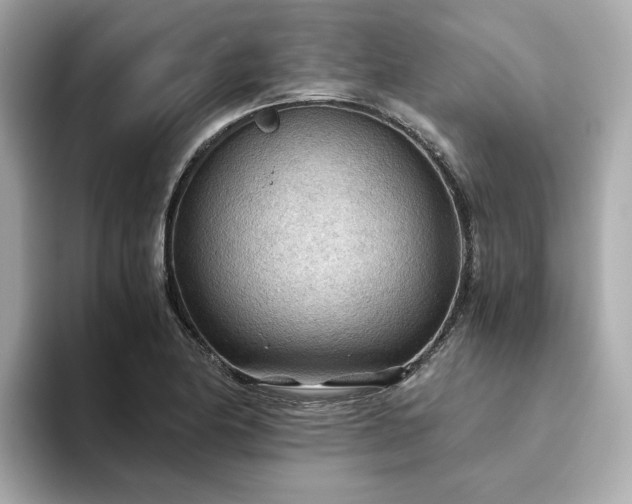 X0000093441174200710261034