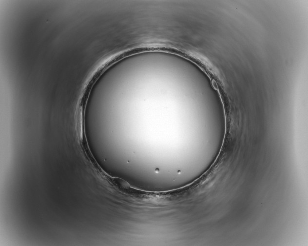 X0000093441175200710261034
