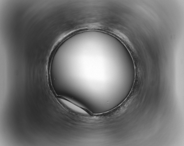 X0000093441176200710261034