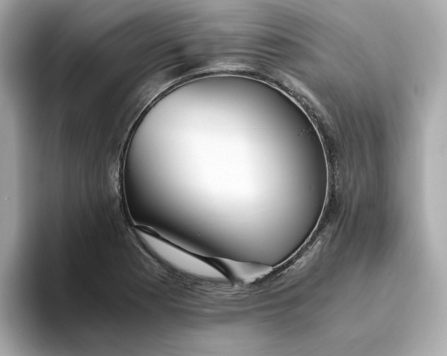 X0000093441177200710261034