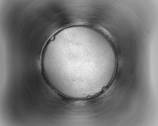 X0000093441178200710261034