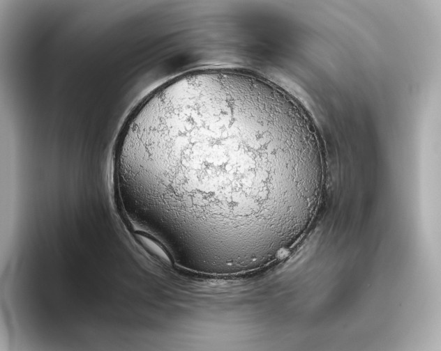 X0000093441179200710261034