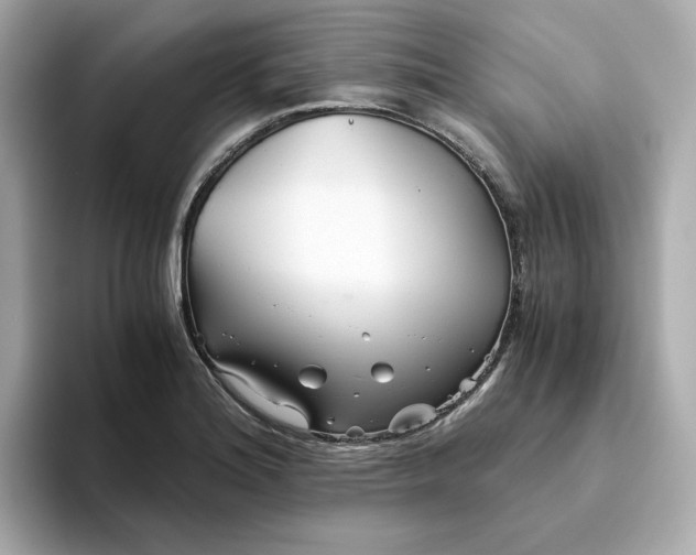 X0000093441180200710261034