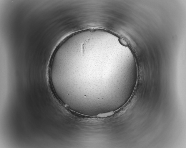 X0000093441182200710261034