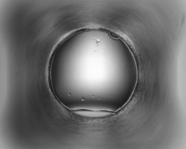X0000093441183200710261034