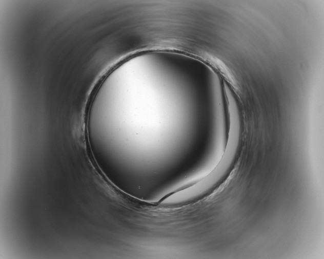X0000093441184200710261034