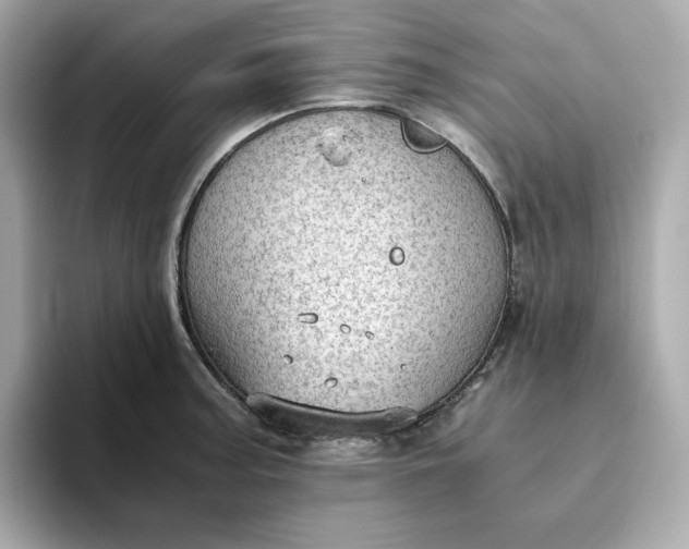 X0000093441187200710261034