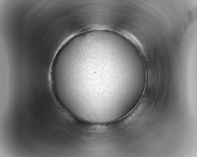 X0000093441190200710261034