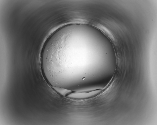 X0000093441192200710261034