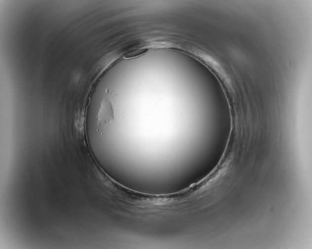 X0000093441193200710261034