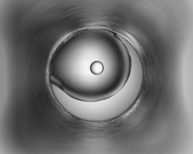 X0000093441196200710261033