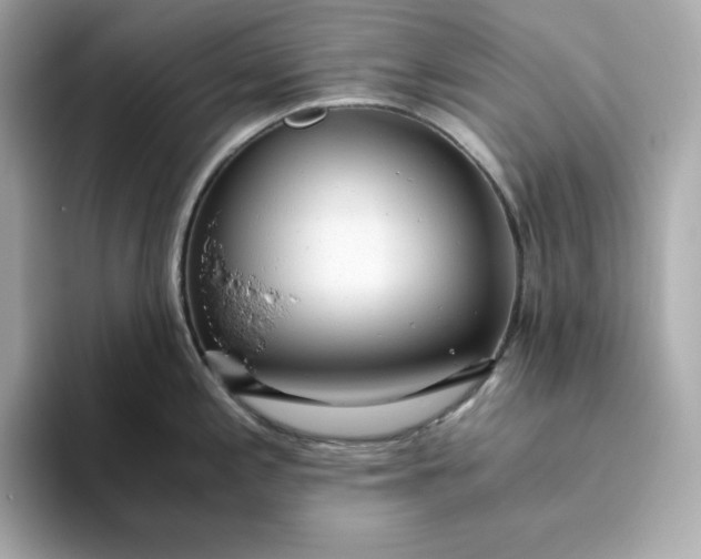 X0000093441197200710261033