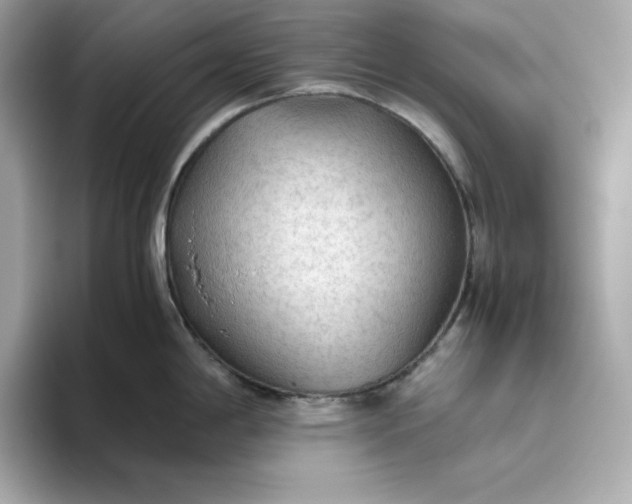 X0000093441198200710261033