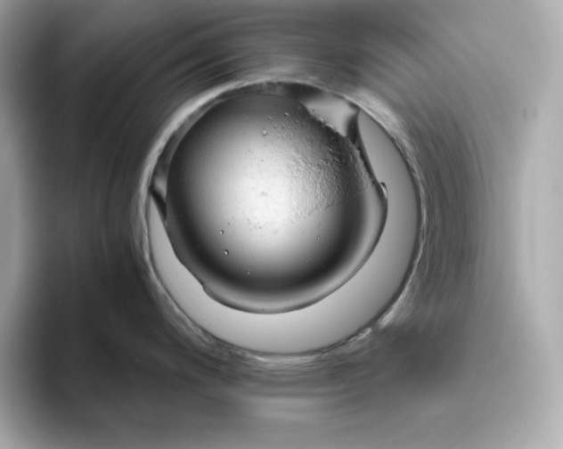 X0000093441200200710261033