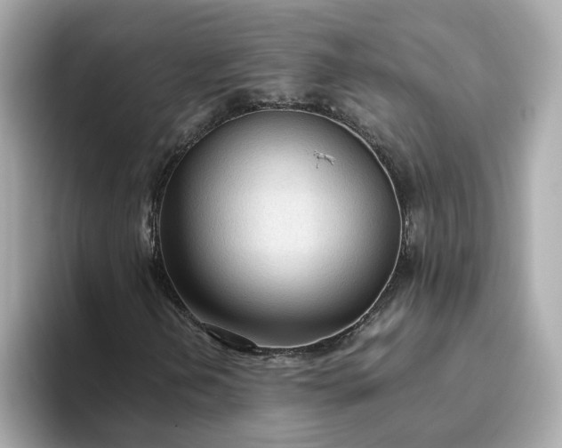 X0000093441202200710261033