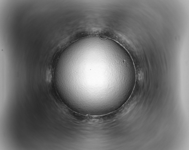 X0000093441204200710261033