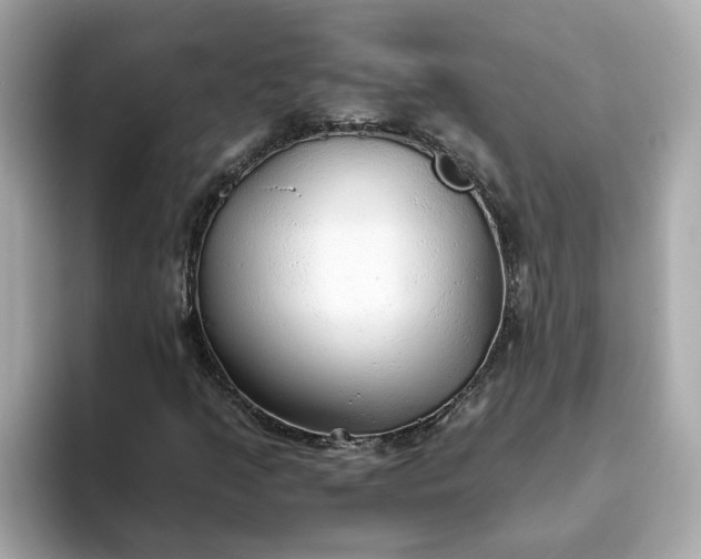 X0000093441205200710261033
