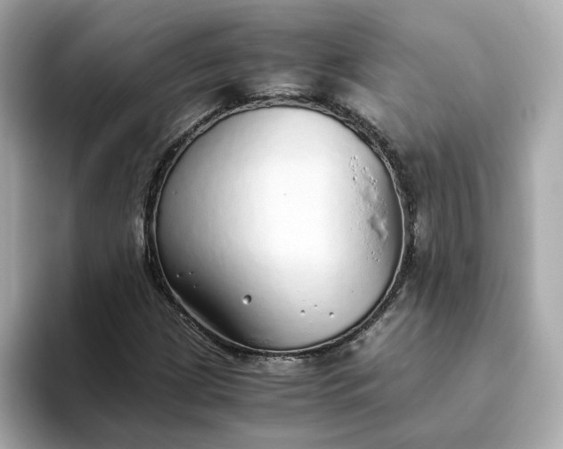 X0000093441209200710261033
