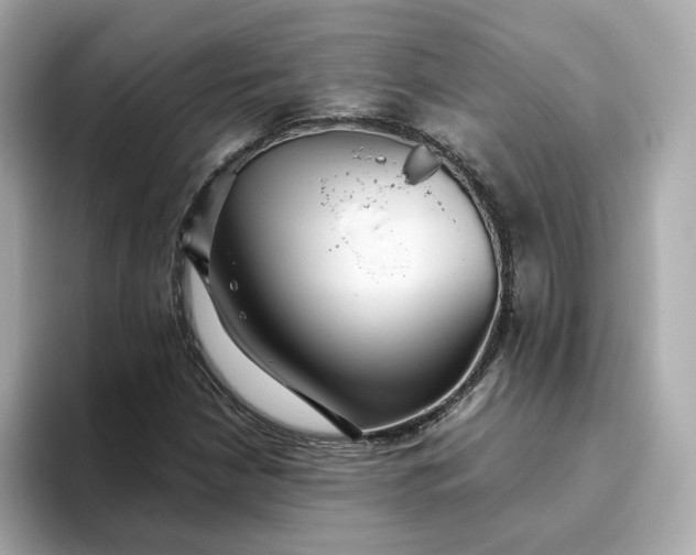 X0000093441210200710261033