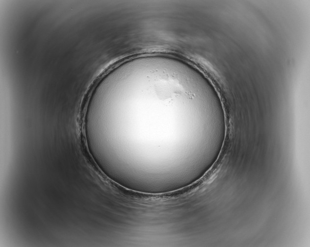 X0000093441212200710261033