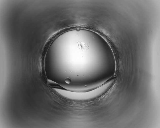 X0000093441214200710261033