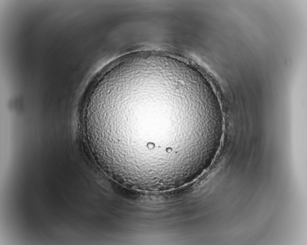 X0000093441215200710261033