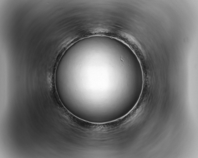 X0000093441217200710261033