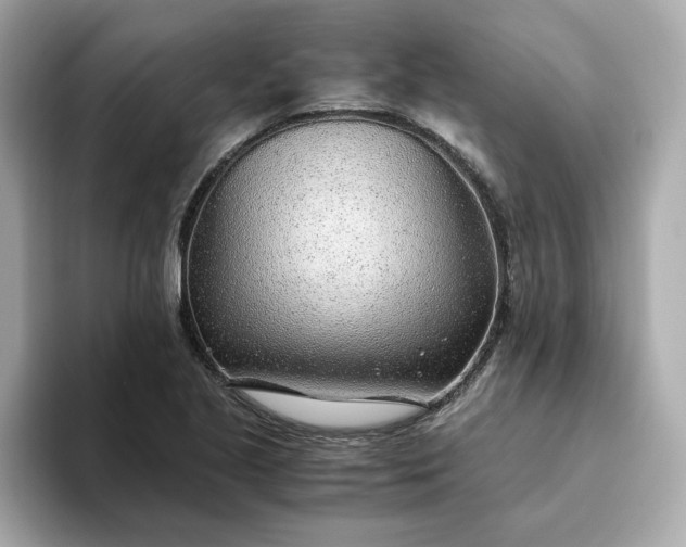 X0000093441221200710261033
