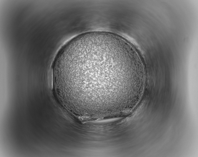 X0000093441223200710261033