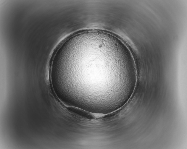 X0000093441224200710261033