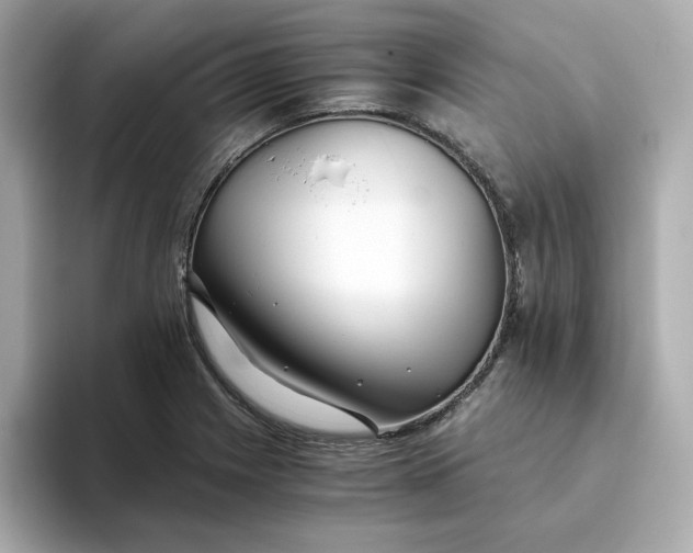 X0000093441225200710261033