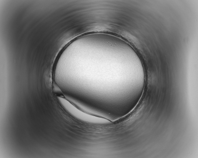 X0000093441226200710261033