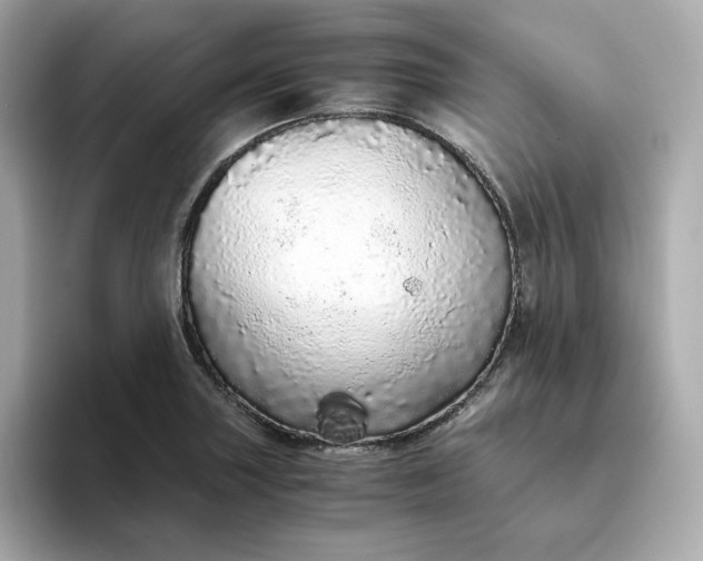 X0000093441227200710261033