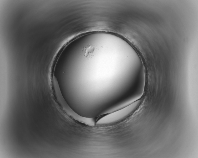 X0000093441230200710261033