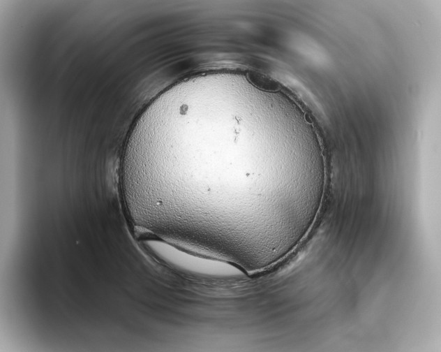 X0000093441233200710261033