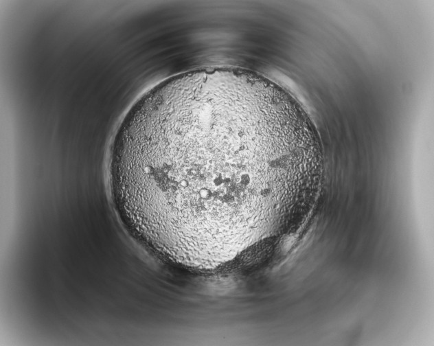 X0000093441235200710261033