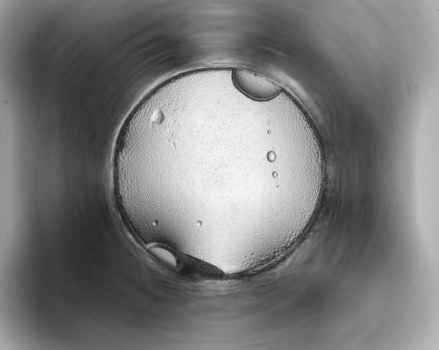 X0000093441236200710261033