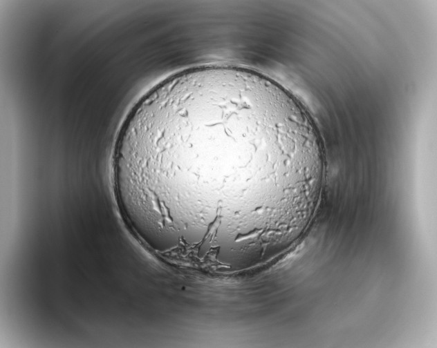 X0000093441239200710261033