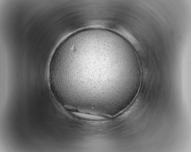 X0000093441240200710261033