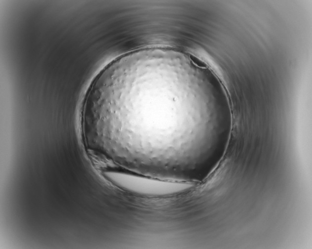 X0000093441243200710261033