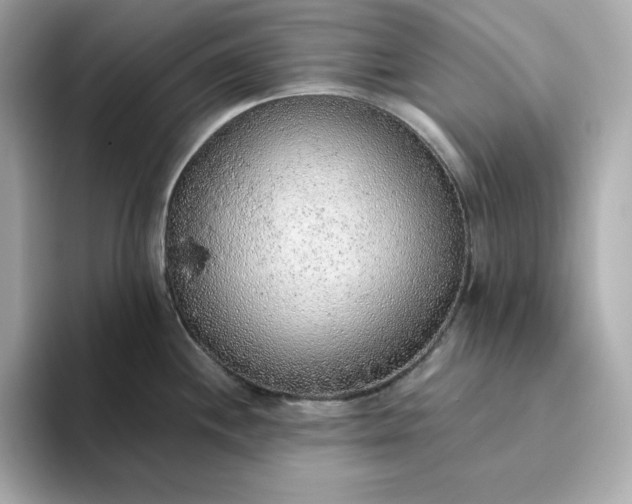 X0000093441244200710261033