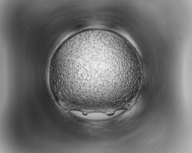X0000093441245200710261033