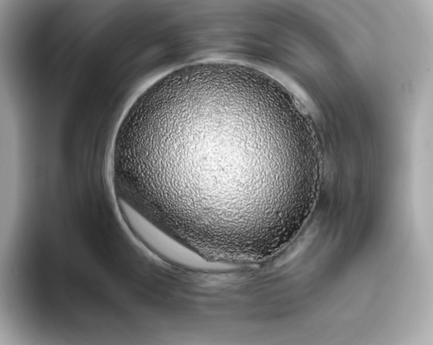 X0000093441247200710261033