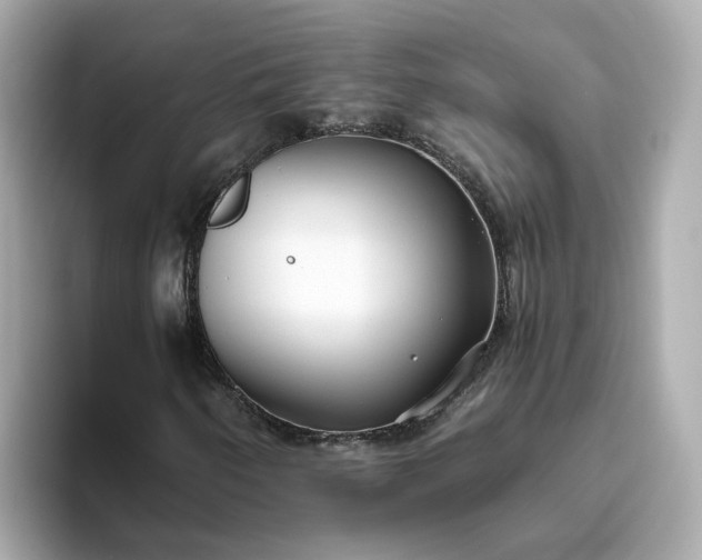 X0000093441250200710261033