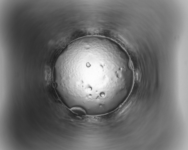 X0000093441251200710261033